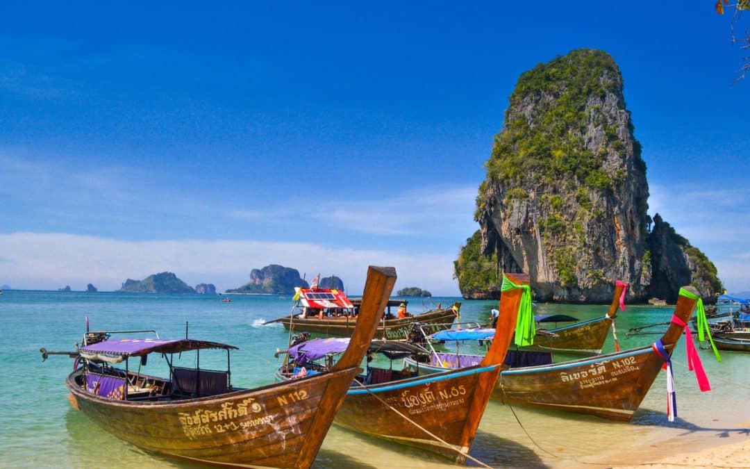 five brown wooden boats
